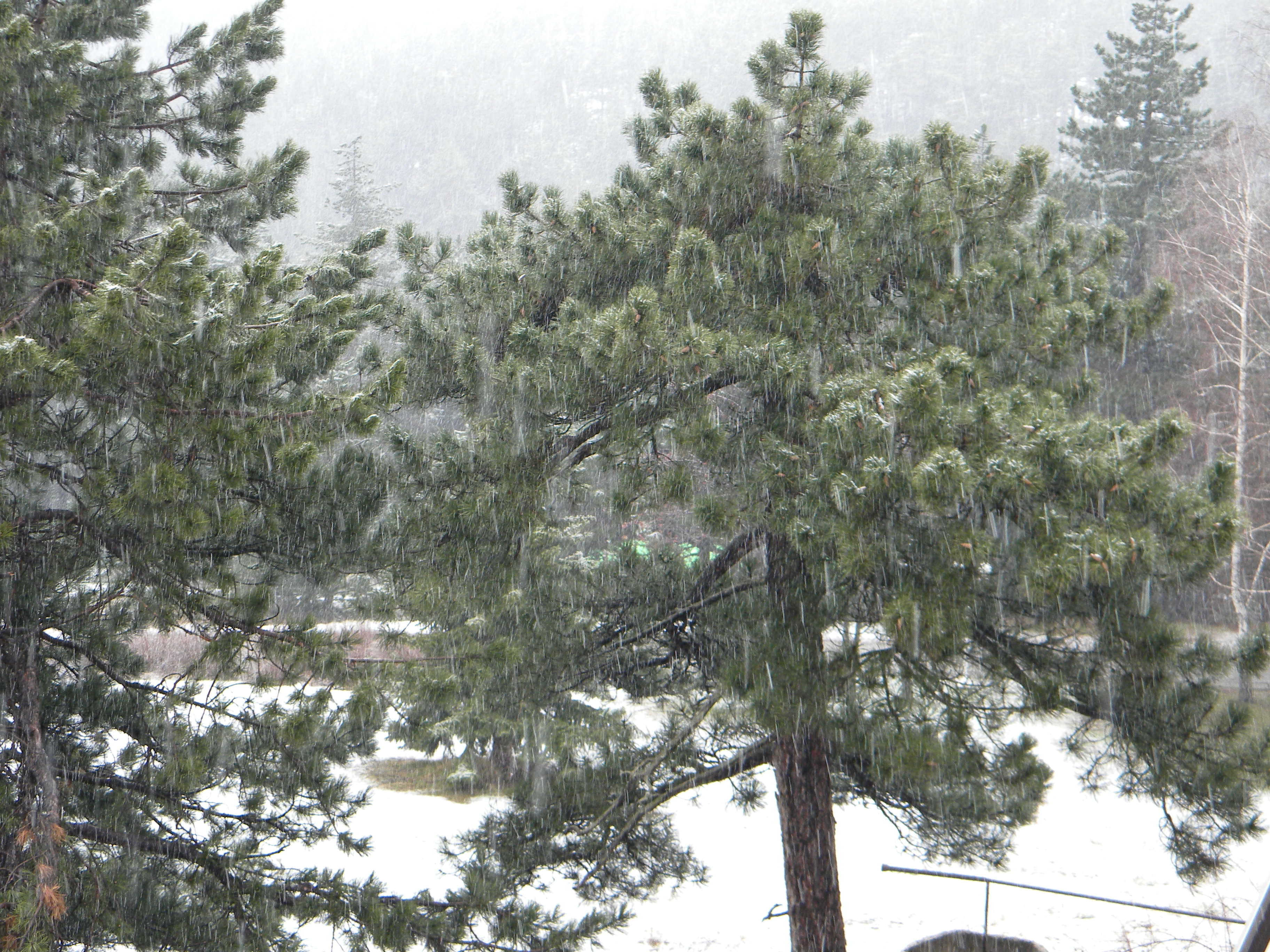 DSCN9906.JPG