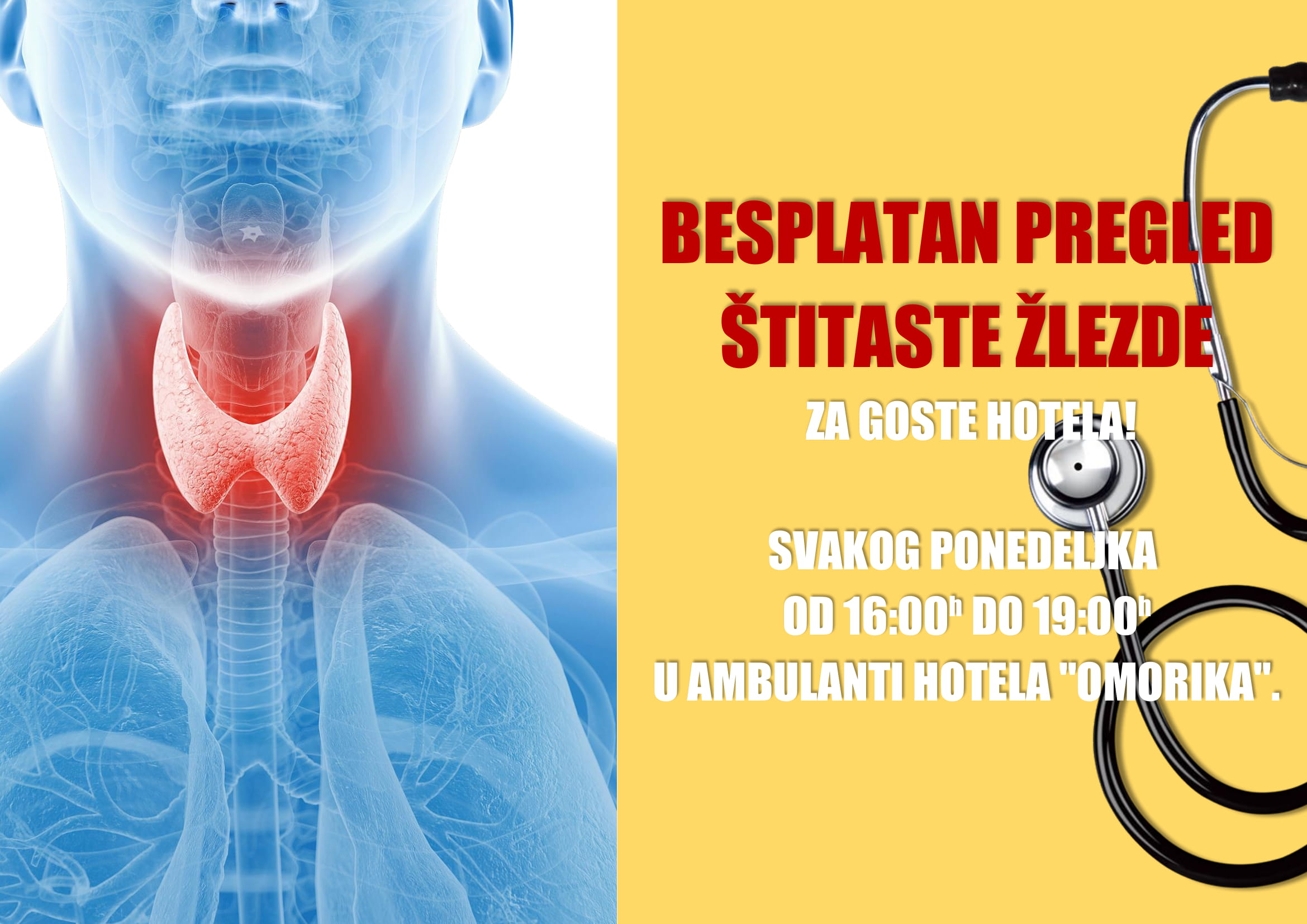 Naslovna fotografija - Besplatan pregled interniste sa ultrazvukom - 2018. godine u hotelu